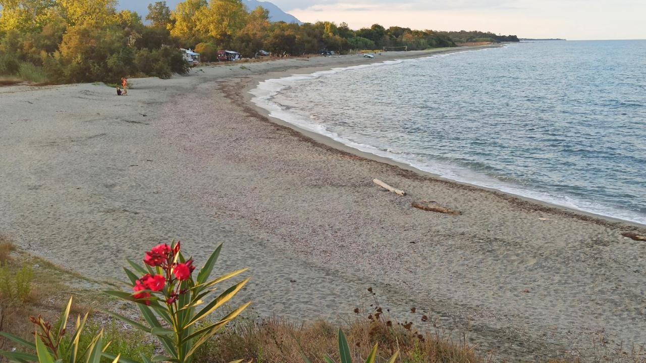 Les Jardins De La Mer Marine De Bravone - 2 Chambres A Lit Plus Sofa Avec Piscine A Cote Mer Linguizzetta Bagian luar foto