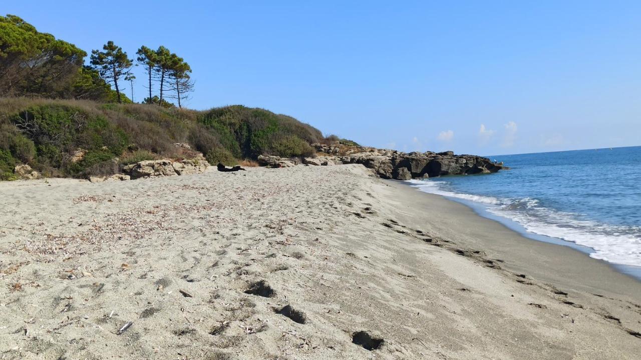 Les Jardins De La Mer Marine De Bravone - 2 Chambres A Lit Plus Sofa Avec Piscine A Cote Mer Linguizzetta Bagian luar foto