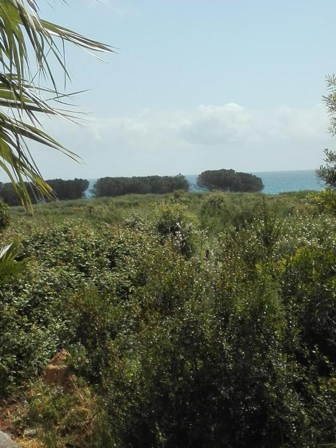 Les Jardins De La Mer Marine De Bravone - 2 Chambres A Lit Plus Sofa Avec Piscine A Cote Mer Linguizzetta Bagian luar foto