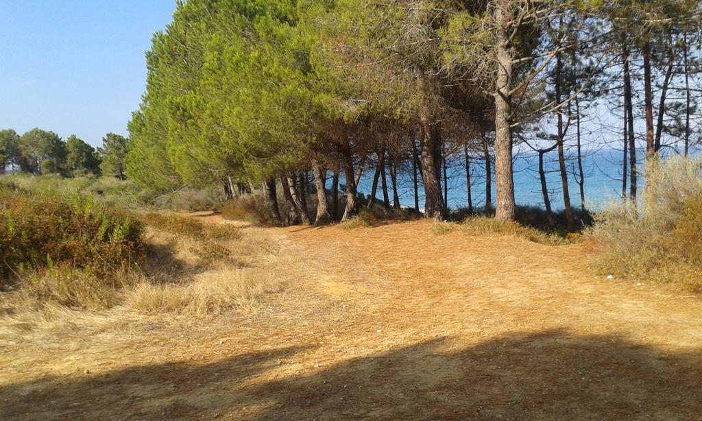 Les Jardins De La Mer Marine De Bravone - 2 Chambres A Lit Plus Sofa Avec Piscine A Cote Mer Linguizzetta Bagian luar foto