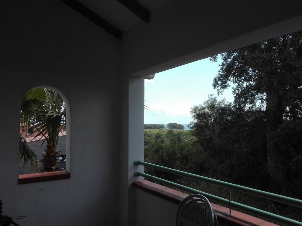 Les Jardins De La Mer Marine De Bravone - 2 Chambres A Lit Plus Sofa Avec Piscine A Cote Mer Linguizzetta Bagian luar foto